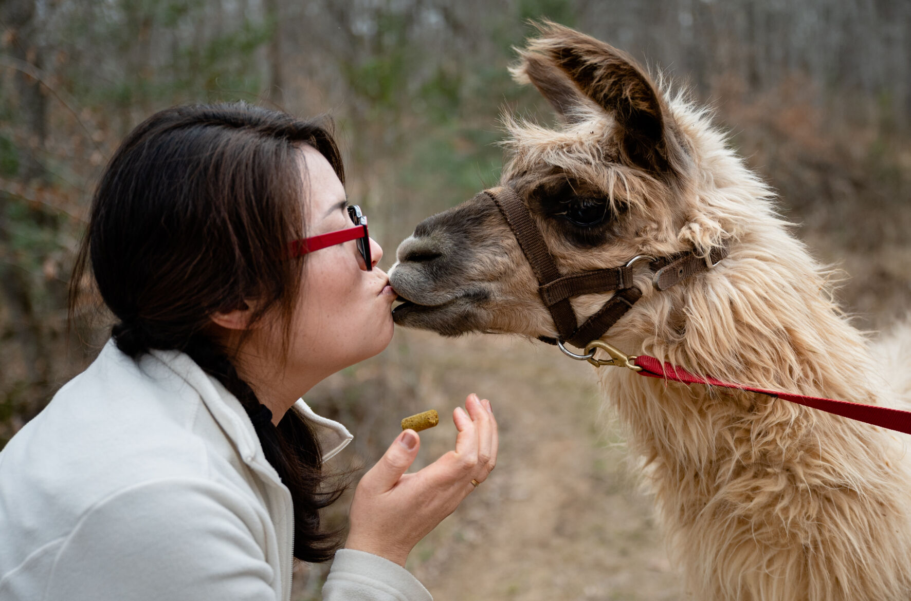 Divine Llama Vineyards